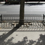 tree pit guards