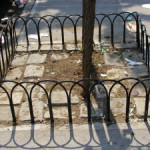solid steel hoopstyle treepit guard